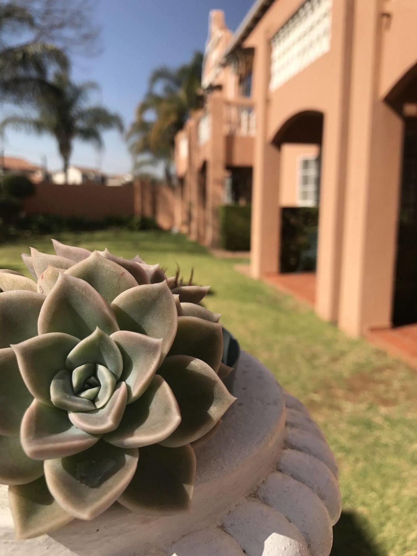 The Elegant Lodge Menlo Park Pretoria Ngoại thất bức ảnh
