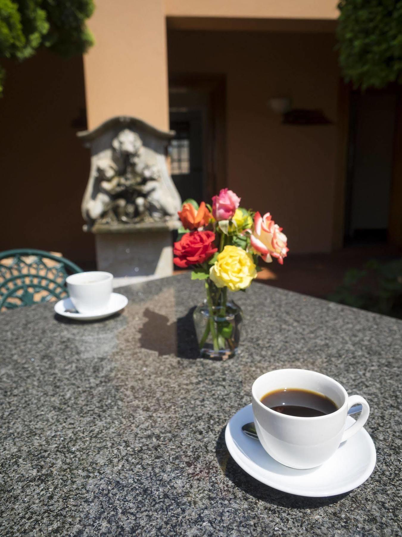 The Elegant Lodge Menlo Park Pretoria Ngoại thất bức ảnh